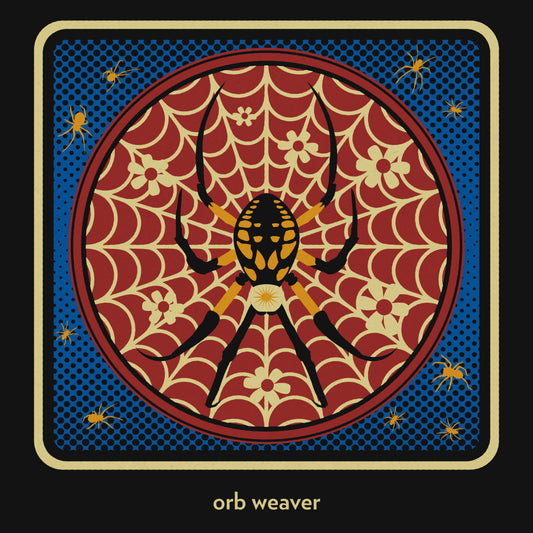 Orb Weaver
